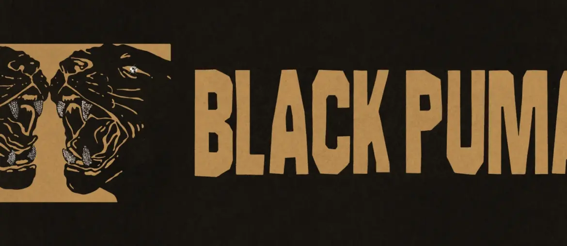 Black Pumas - Leader Bank Pavilion - 08080808 0202 2024202420242024