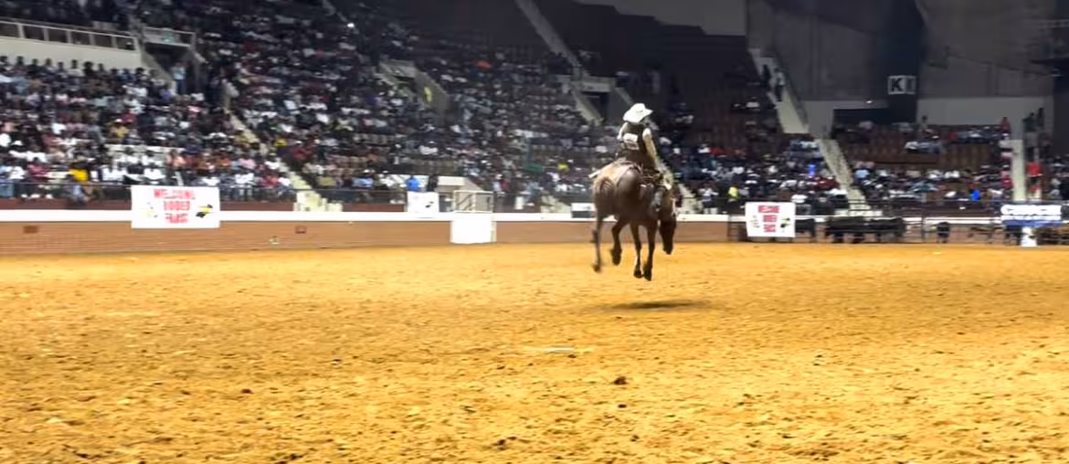 Sera Black Rodeo 2024